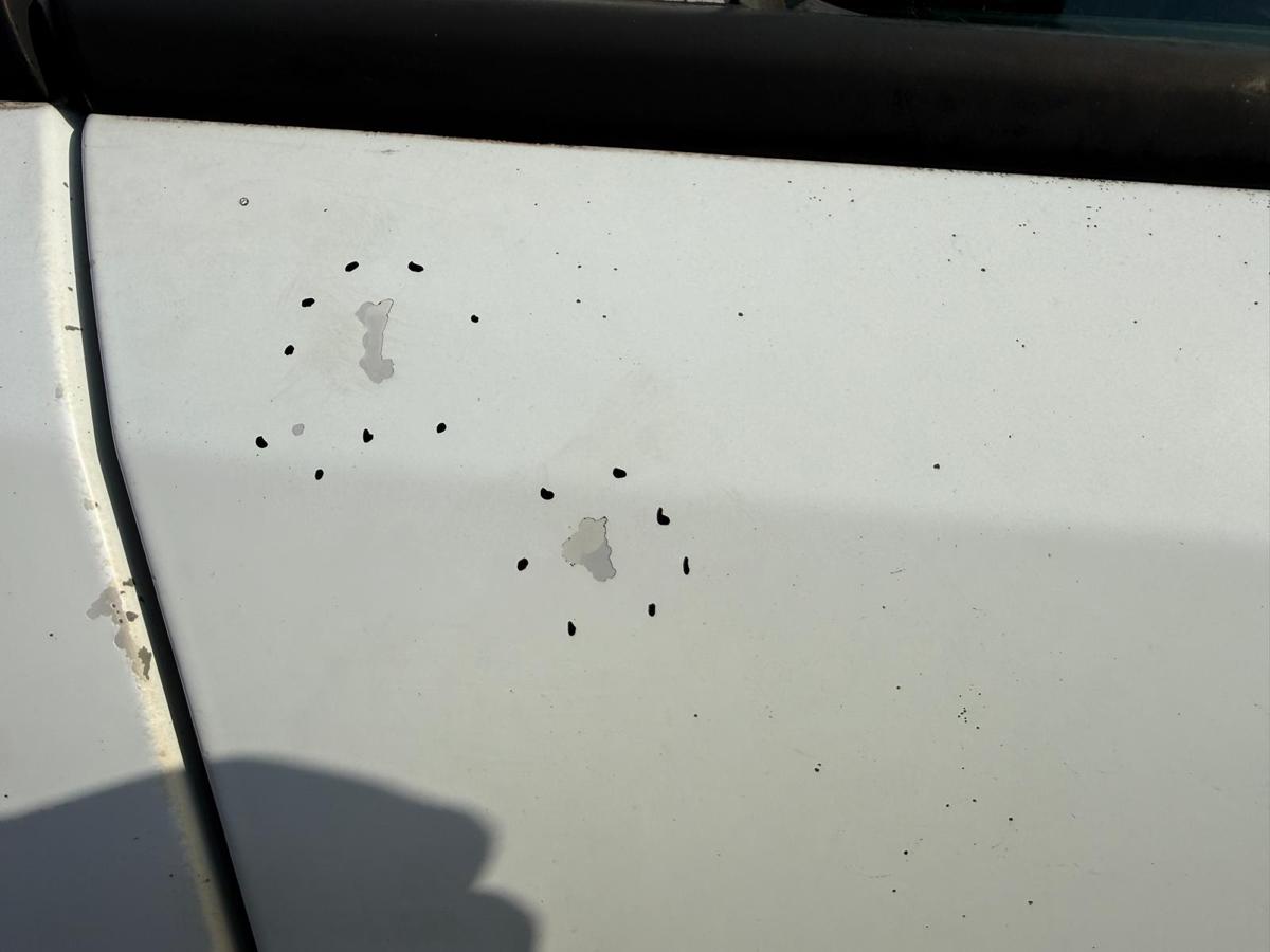 Opel Corsa D original Tür vorn rechts Y474 Casablancaweiß Rohbau 5 Türer BJ08